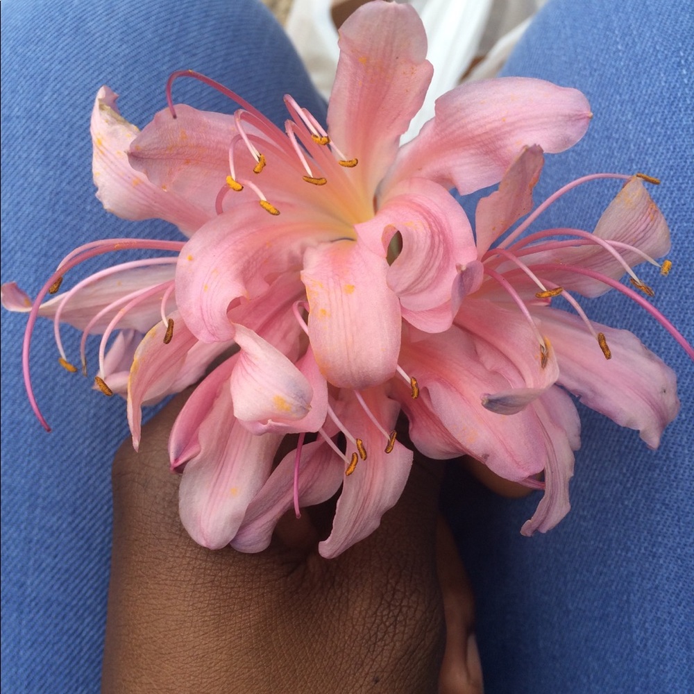 Meet your Posher, Edna